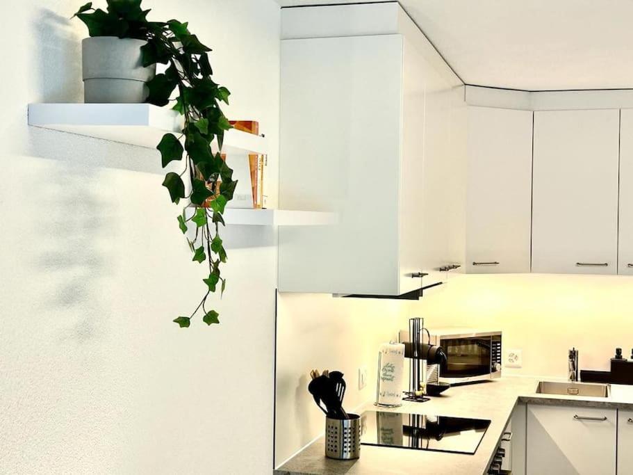디티콘 Casa Ambizione 아파트 외부 사진